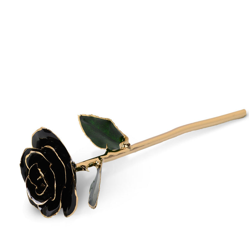 24K Gold Dipped Rose